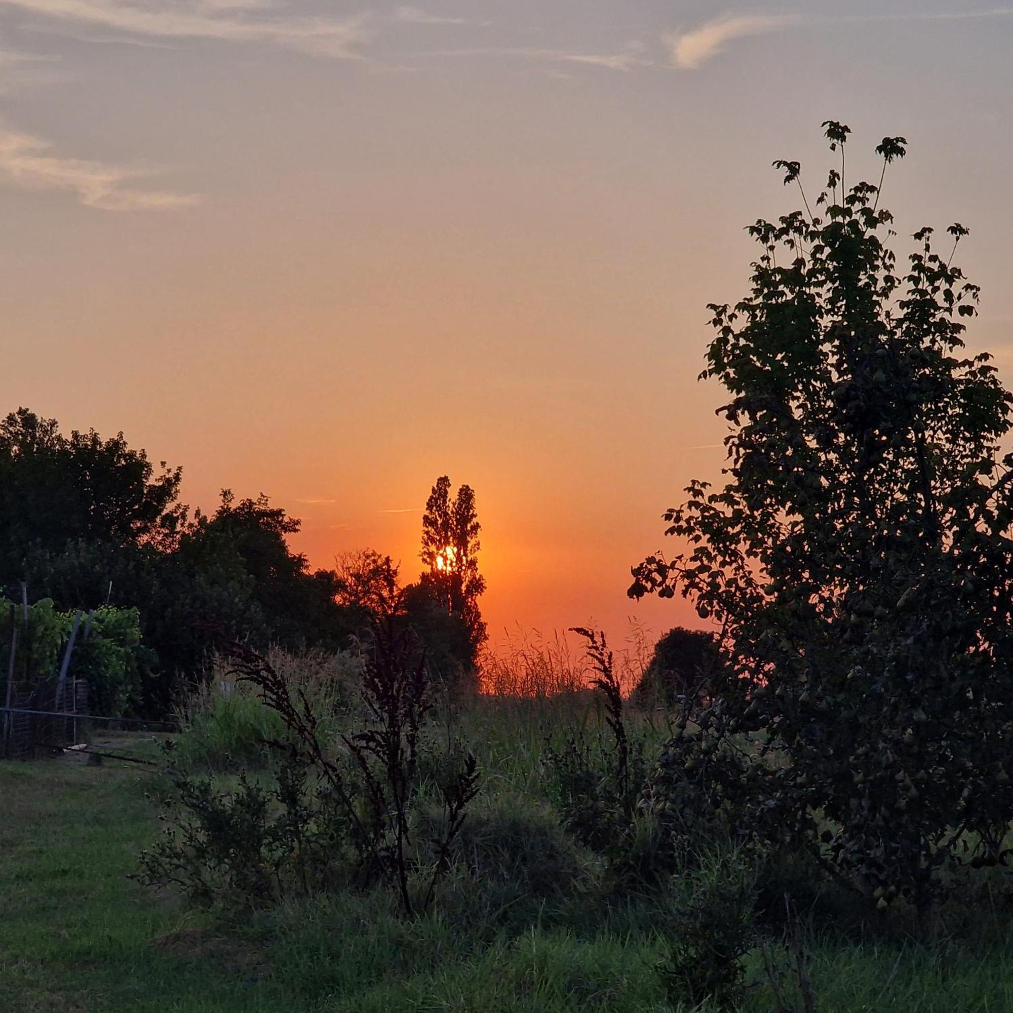 Appartamento Divino Tramonto Altedo Luaran gambar