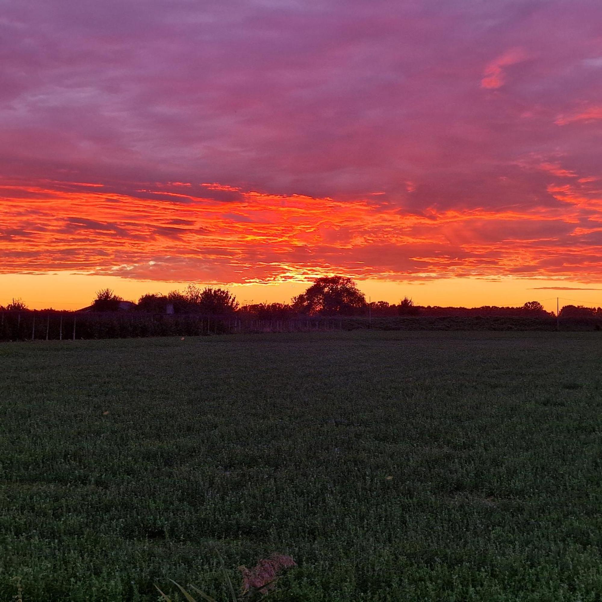 Appartamento Divino Tramonto Altedo Luaran gambar