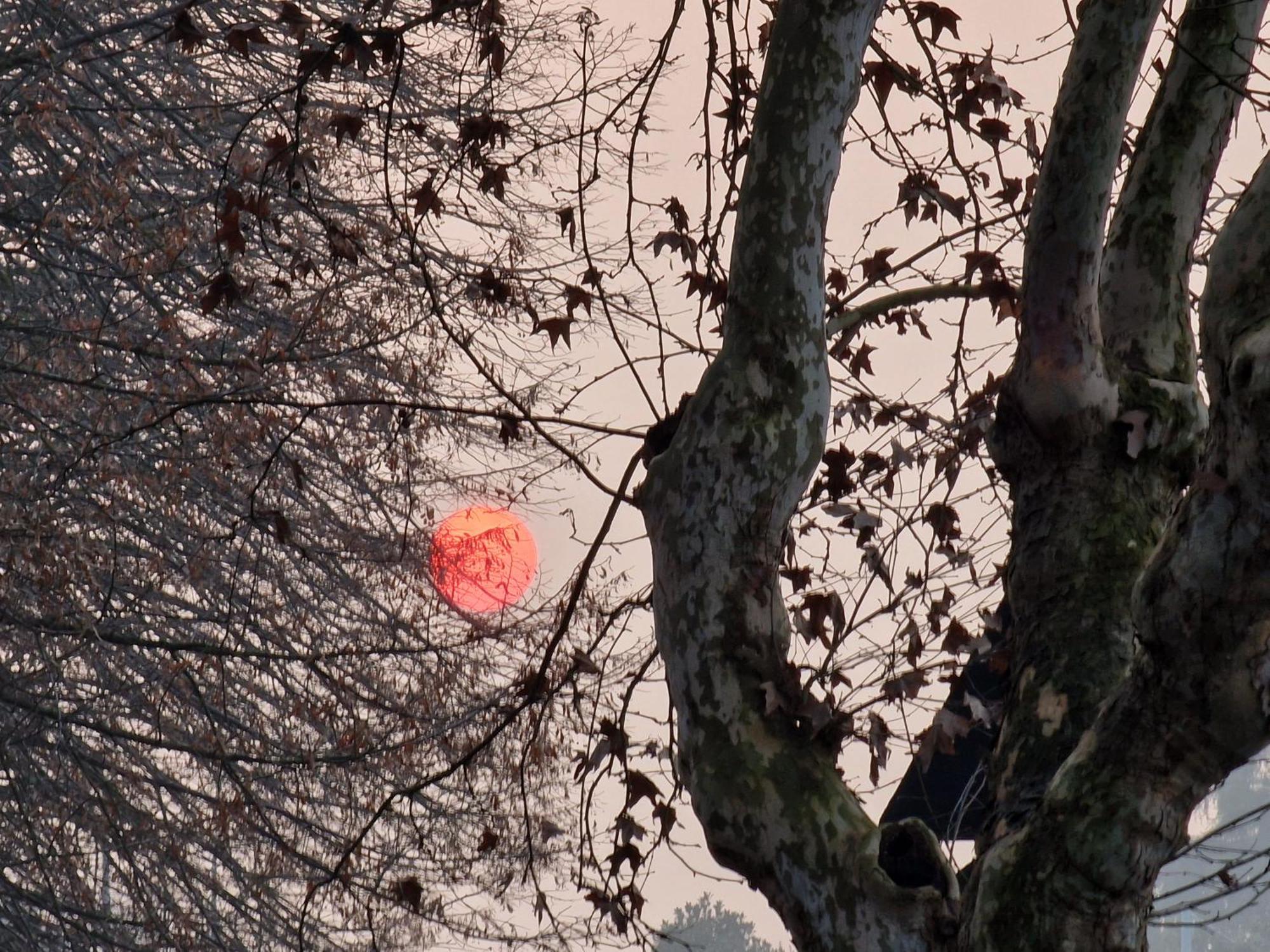 Appartamento Divino Tramonto Altedo Luaran gambar